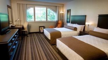 our luxurious rooms. $ 195.