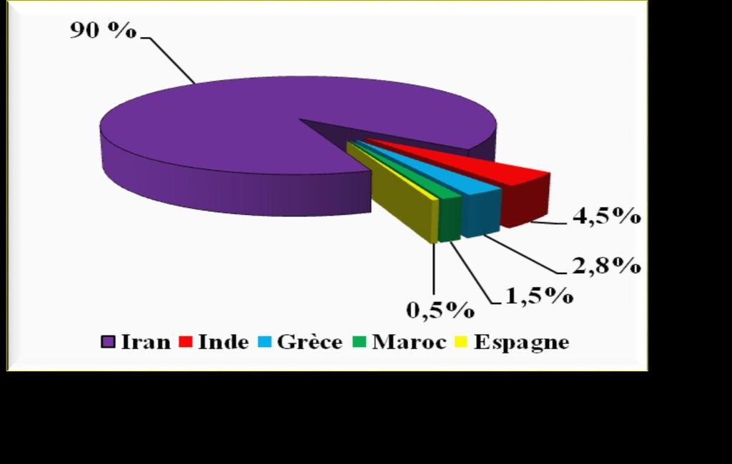 Worldwide saffron production Iran India Greece Morocco Spain The world
