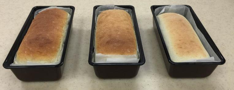 Raising agent - carbon dioxide Bread with different