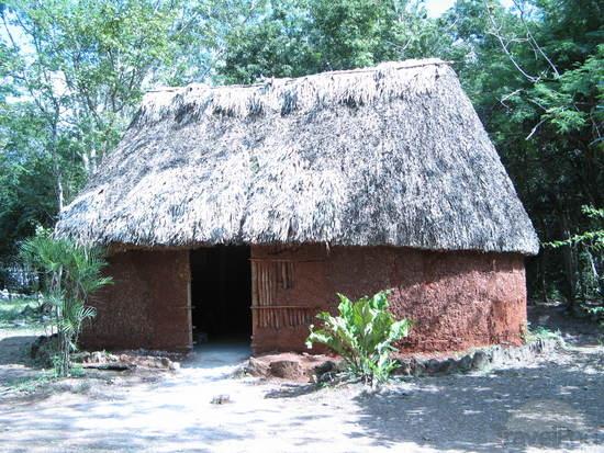 Most Mayans lived in simple homes with mud walls and thatch roofs.