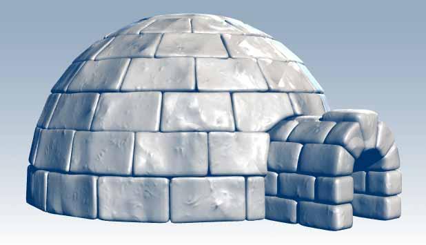 An igloo was a house made up of snow and ice.