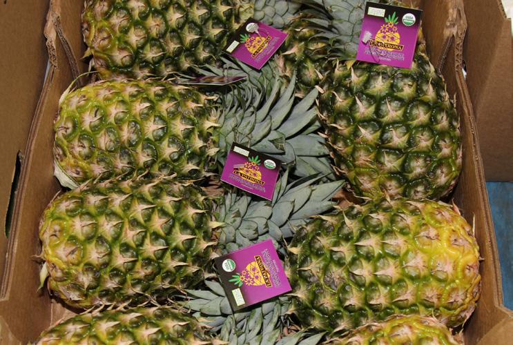 MARCH 22 - MARCH 29, 2019 MARKET NEWS 12 19 FOUR SEASONS PRODUCE OG PINEAPPLES OG LEEKS OG BOK CHOY Organic Pineapple quality is excellent.