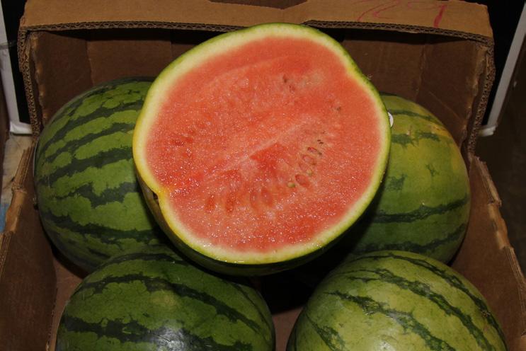 New crop Watermelons from Florida will be available for the first week of April.