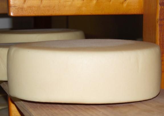 weeks, this young cheddar boasts a touch of sharpness while remaining moist and creamy in its texture.