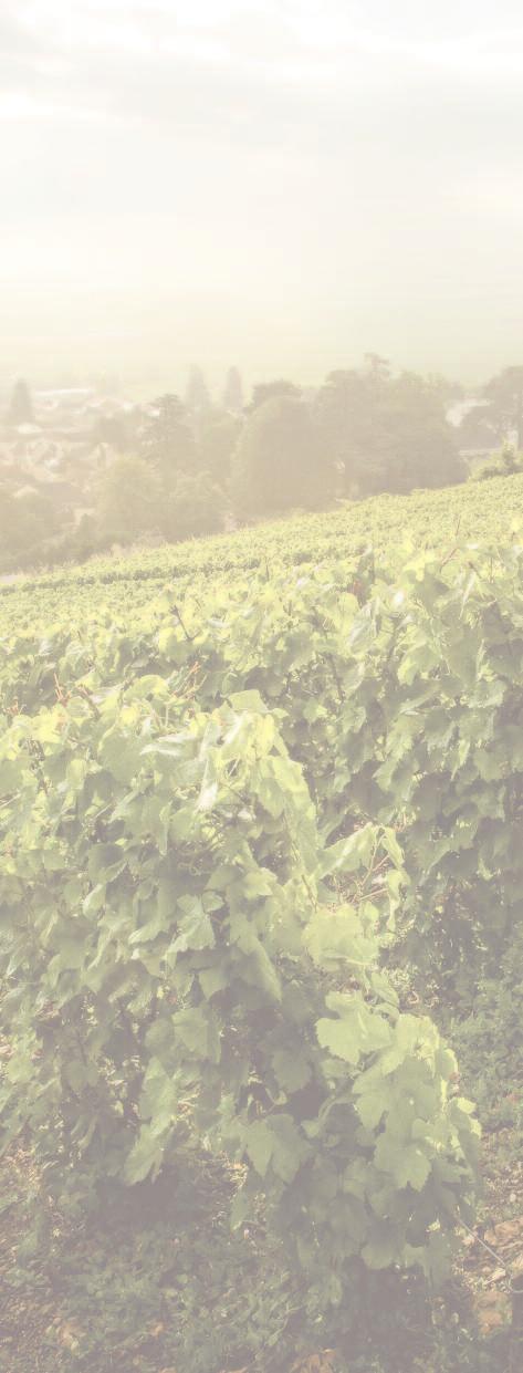 Thanks to the detailed knowledge of the Champagne terroir developed by each generation, the House has access to grapes coming from the best crus of the region, which is essential in order to create