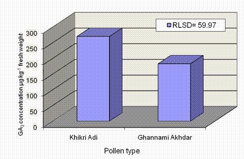 compared to fruits produced by the pollen Khikri Adi.
