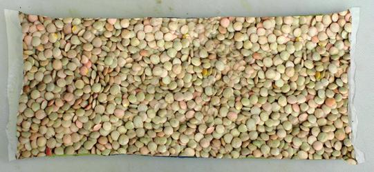 lentils. Dry, 1 pound (lb.) 16 oz. bags OR 15-16 oz.