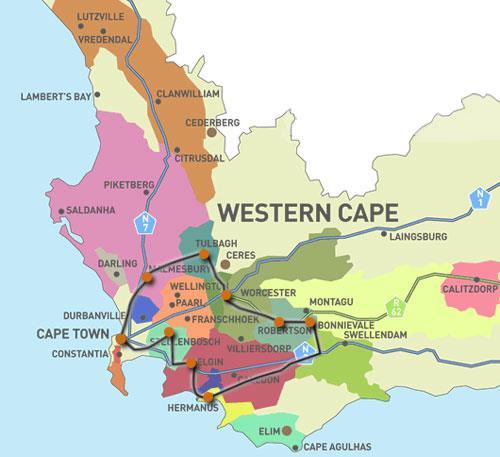 ensure that you visit the most popular Cape wine