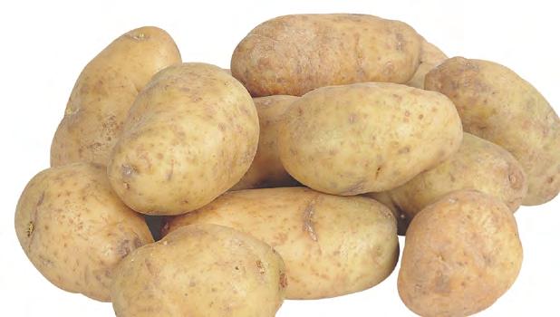 Potatoes 98