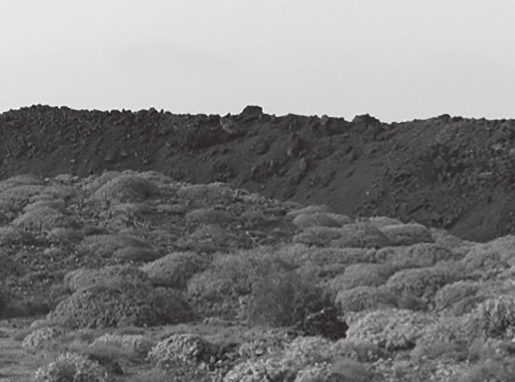 6 The photograph shows an area of land where a lava flow stopped many years previously.