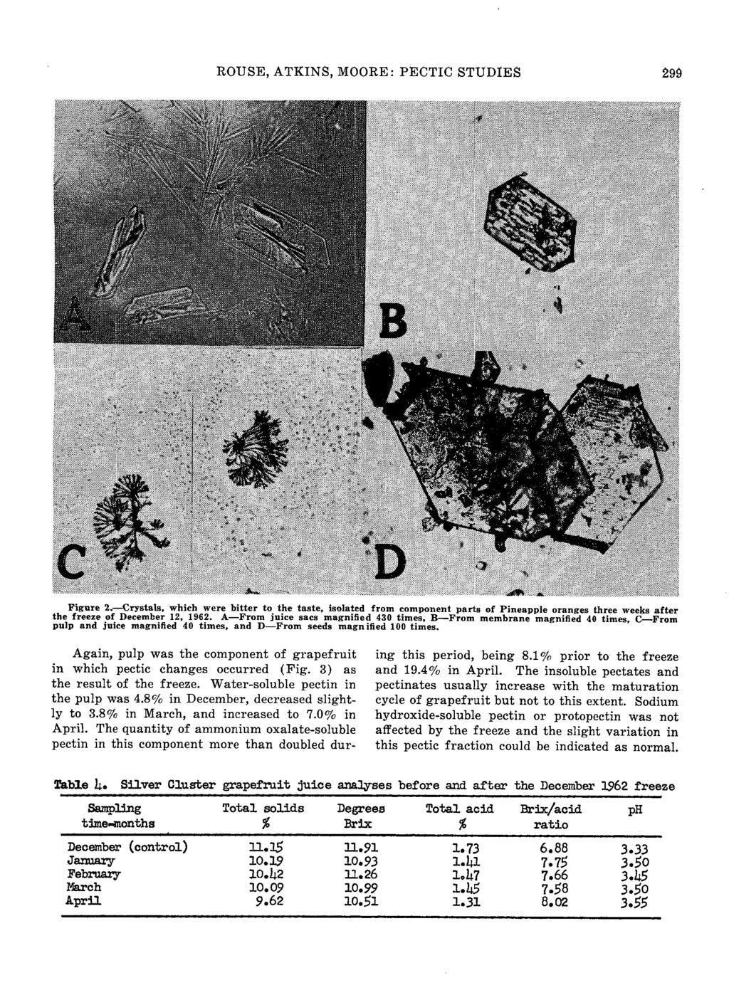 ROUSE, ATKINS, MOORE: PECTIC STUDIES 299 Figure 2. Crystals, which were bitter t the taste, islated frm cmpnent parts f Pineapple ranges three weeks after the freeze f December 12, 1962.