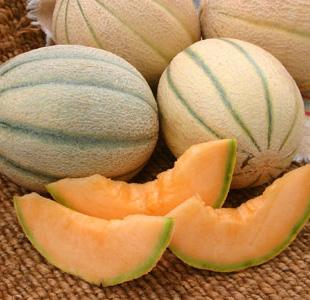 Hard shelled when dried, great ornamental. Melon, Honey Rock 80 days An early maturing heirloom melon with good yields.