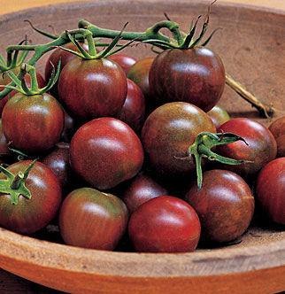 Black Pearl tomato 65 days Black Pearl offers two distinct flavors in one tomato deep, rich and sweet at the same time.