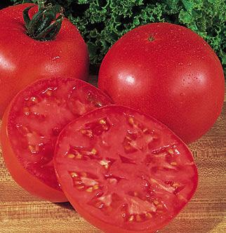 red fruits are firm, juicy and highly flavored. Yields heavily in all regions. Big Boy tomato 78 days One of the greatest tomatoes of all time and still a best seller.