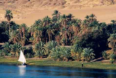 1 Ancient Kingdoms of the Nile How did geography affect the development of ancient Egypt? What events and discoveries marked the development of Egyptian civilization?