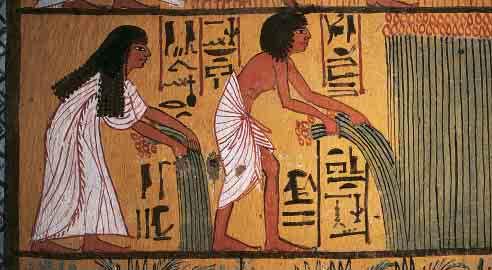 This mural shows Egyptian farmers processing grain. The peasants, however, could keep just part of the crop. The rest went to the pharaoh, who legally owned all land, as rents and taxes.