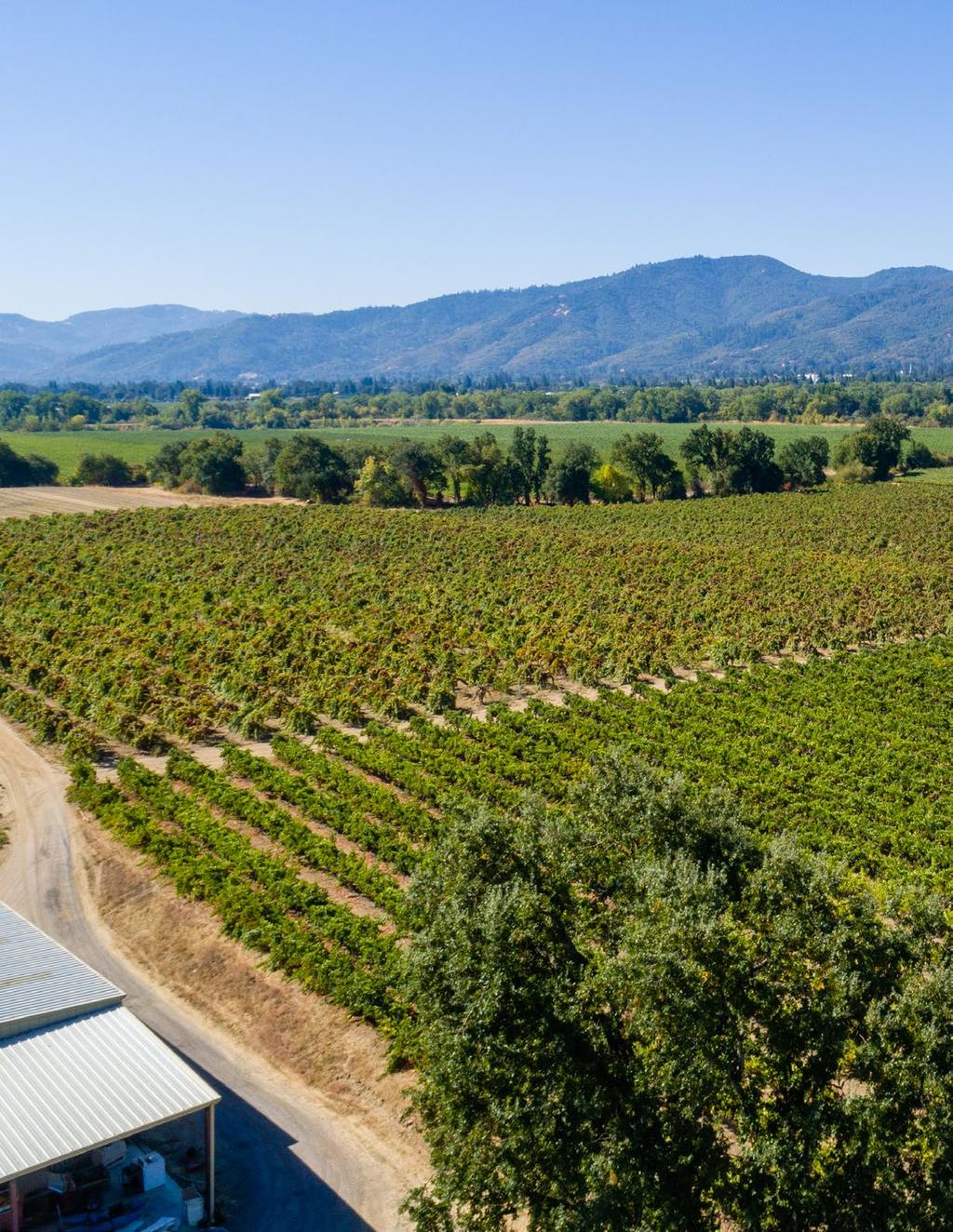 Gated 30+/- acre Vineyard &