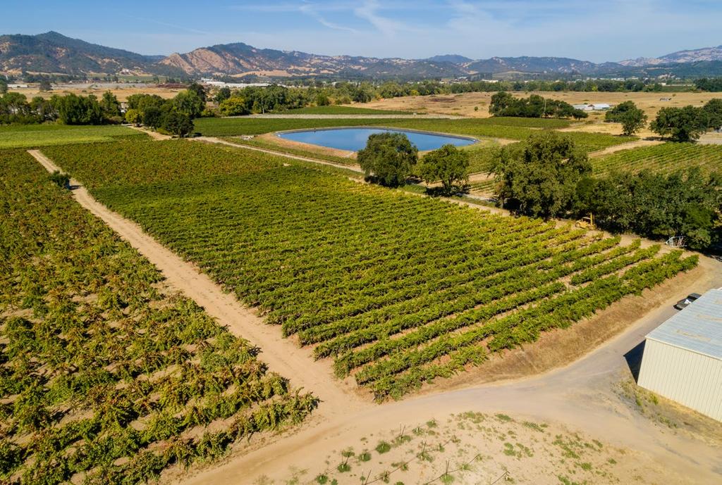 Gated 30+/- acre Vineyard & Building Site Table of Contents Salient Facts...3 Property Overview.