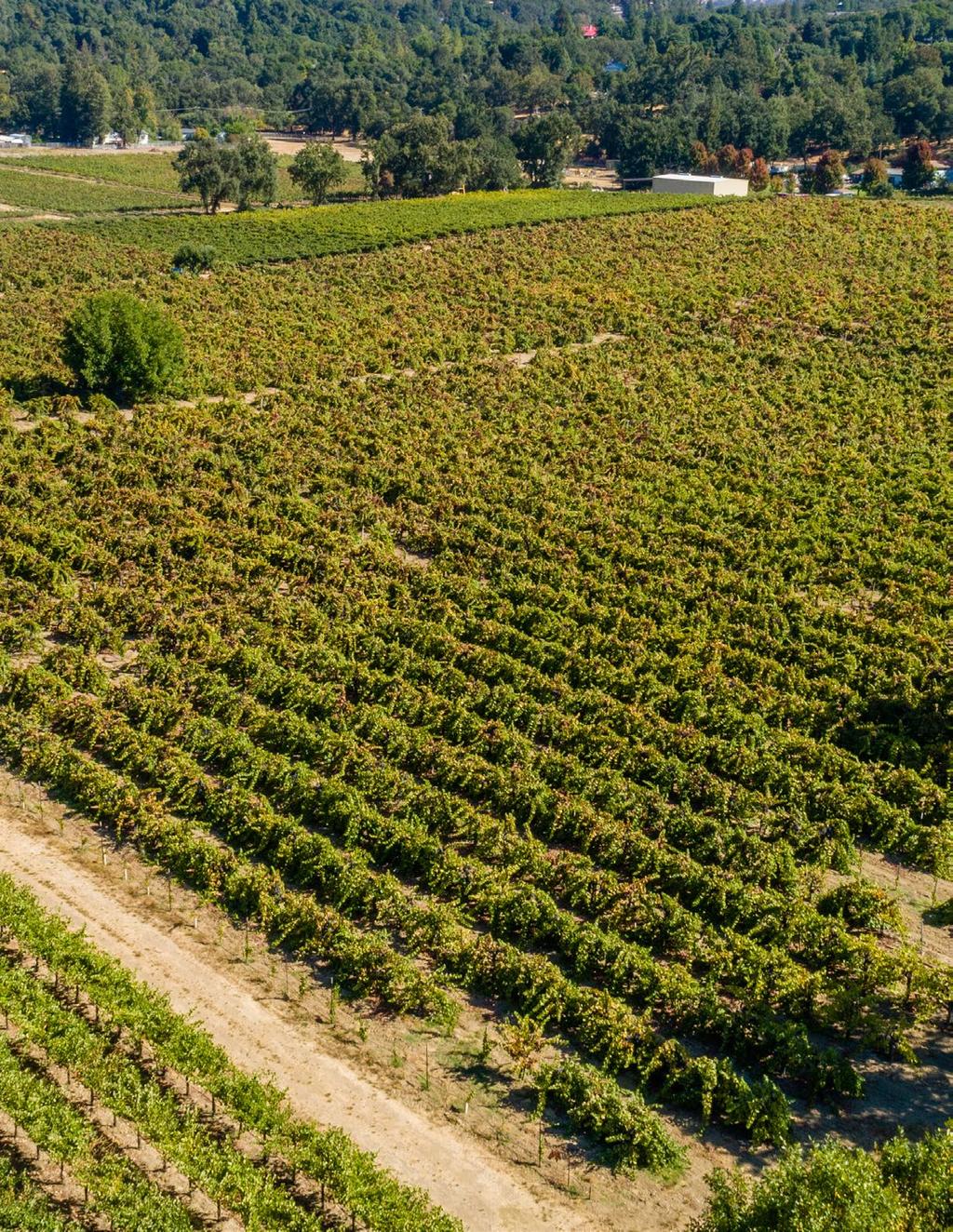 Salient Facts Location County & AVA 1300 Redemeyer Rd. Ukiah, CA Mendocino APN 178-180-04 Parcel Size Vineyard Grape Contract Soil Buildings Water Power Zoning Tax Status 29+/- acres 22.