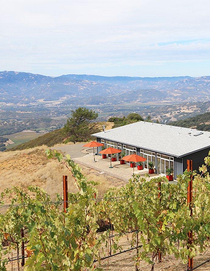 Modern Mountain Vineyard Estate