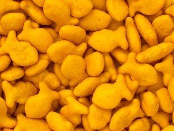 Whole Grain Cheddar Goldfish Crackers Contains: Milk, Wheat, Onions 100cal 14g 3.5g 1g 2g 170mg 0g Serving Size = 0.75 oz.