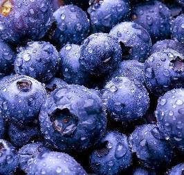 Blueberries 70cal 17g 1g 4g 1g 0mg 13g Serving Size = 5 oz.