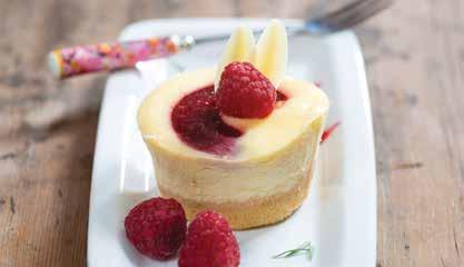 creamy baked cheesecake on a biscuit crumb base.