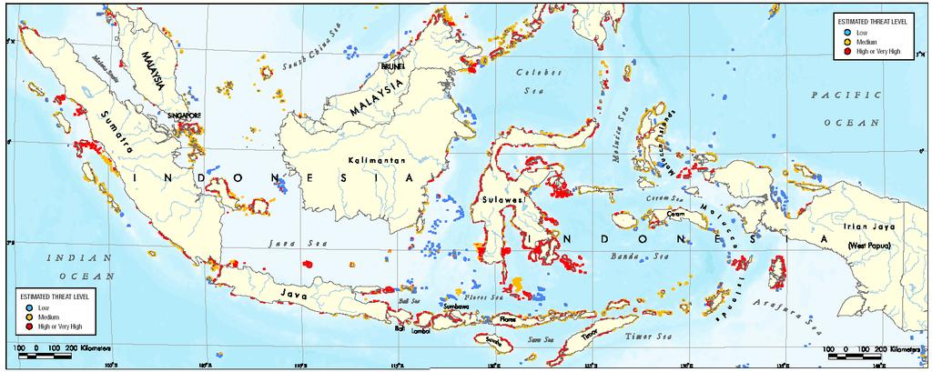 Coral Reefs at Risk >85% Indonesia s reefs at high threat from human activities 569 hard coral species found in Indonesia 81 hard