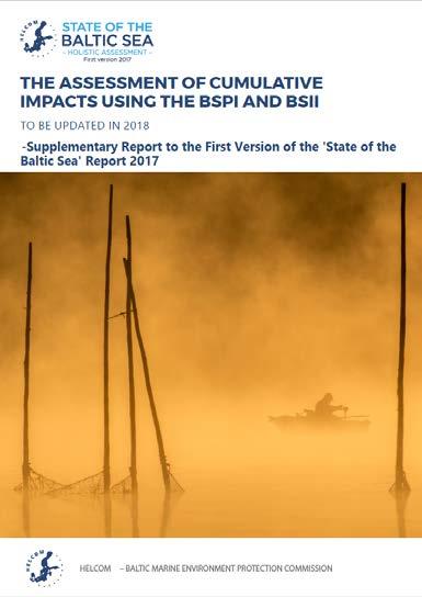 messages on cumulative impacts using BSII are integrated to the report Supplementary report on cumulative