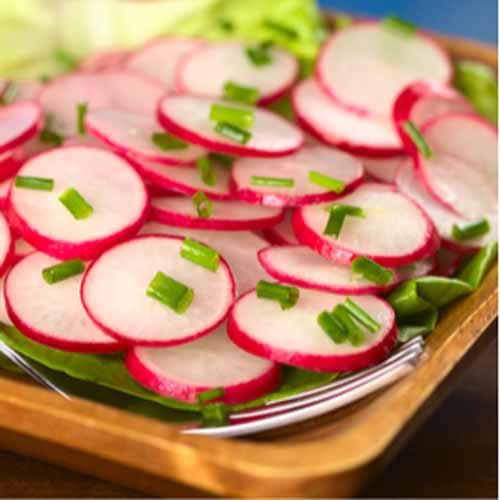 Monday, 11th June 2018 Simple Radish Salad 1/2 bunch radish 1/4 lemon coarse sea salt, to taste 1 Using a food processor,
