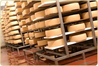 A Review of the Steps to Making Cheese Step 7 -Pressing Pressing determines the characteristic shape of the cheese and helps complete the curd formation.