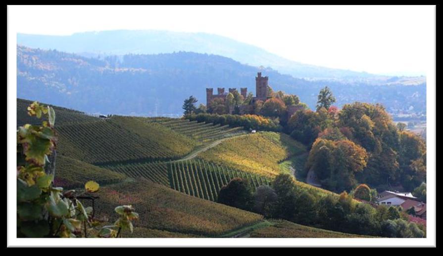 Baden Wine Region The wine region Baden is the most southern and with around 15,906 hectares and an average must yield of 1.1 million hectoliters the third largest wine region in Germany.