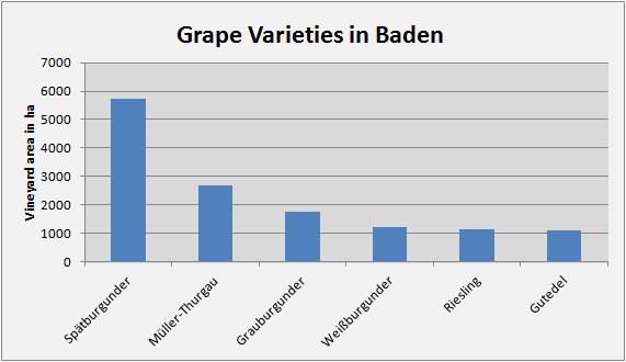 The production of Pinot wines is larger than in any other German wine region. Beside the pinot grapes, Müller-Thurgau plays an important role with 16.