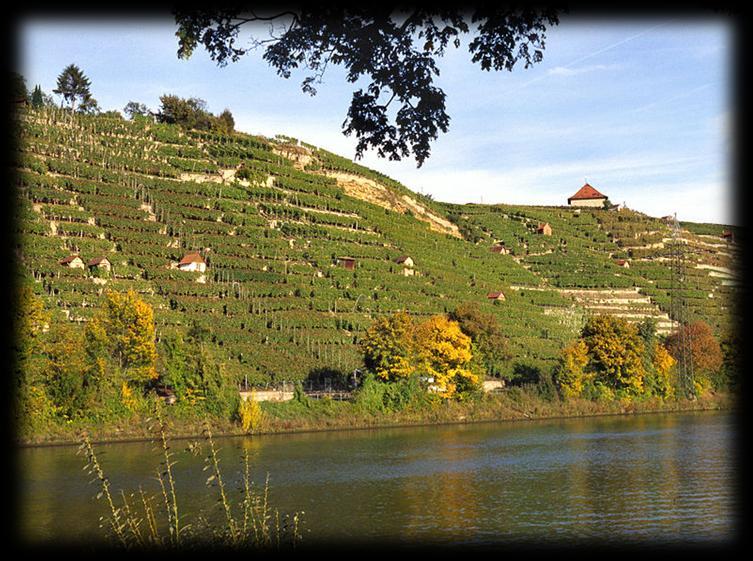 Württemberg Wine Region Württemberg is located in the southwestern part of Germany. W ith 11,421 hectares of wine growing area in 2010, Württemberg is Germany's fourth largest wine region.