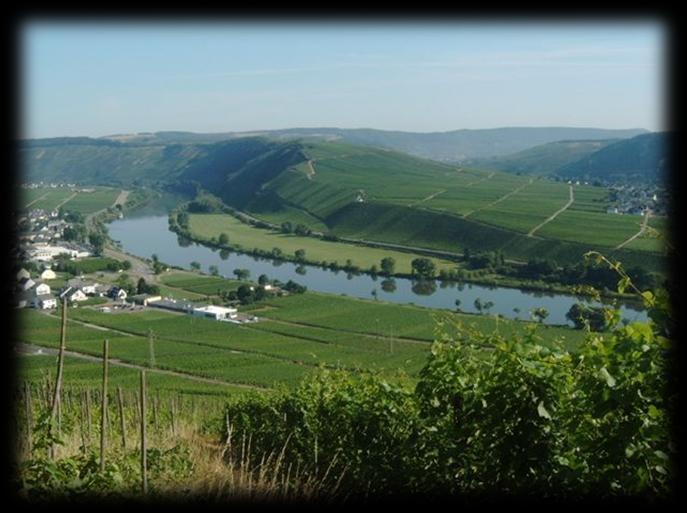 Mosel (engl. Moselle) is one of the most popular of the 13 German wine regions. The Region produced 8,787 ha Wine in 2011 and is therefore the fifth largest wine-growing region in Germany.