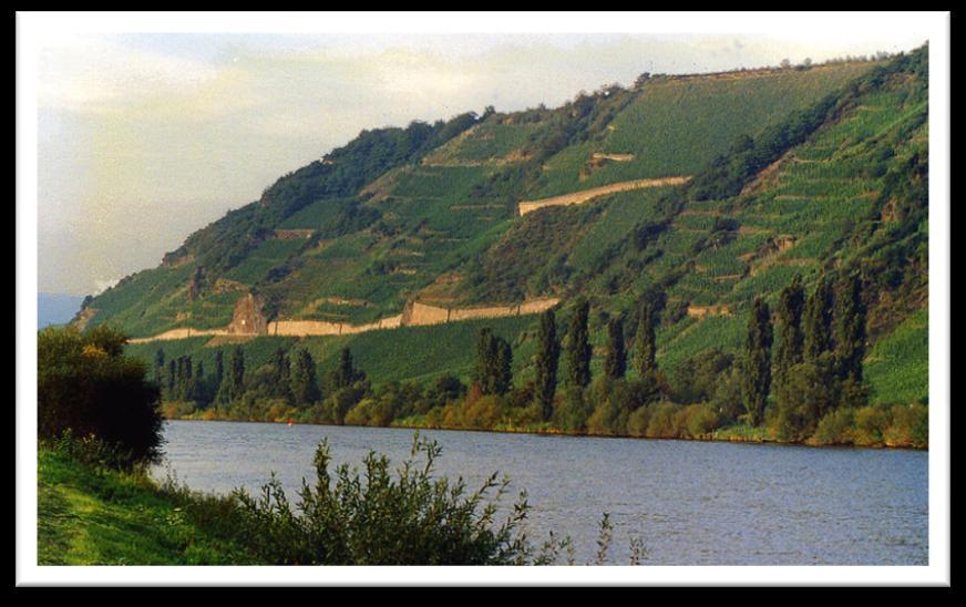 The Wine Production was flourishing in the 4th century and first "W inzerdörfer" (W ine - grower Villages) were established along the Mosel River.