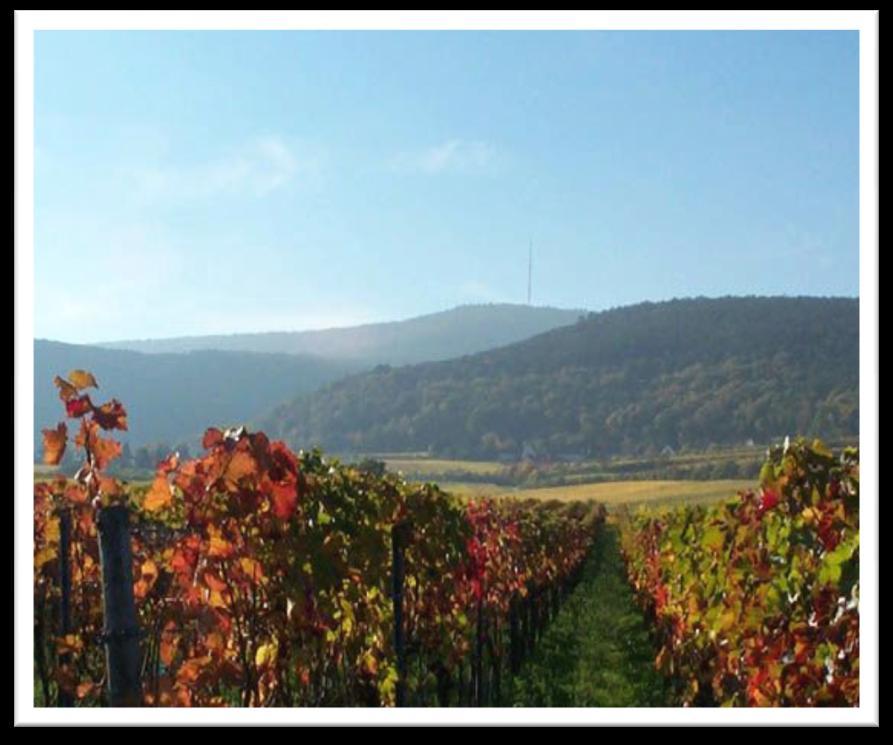 Pfalz Wine Region The German wine region Pfalz (engl. Palatinate) lies within the same-named area in the state of Rhineland-Palatinate.