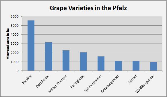 The Riesling is followed by Müller-Thurgau with 2275 ha (= 9.7%) of total growing area in the Pfalz. Most common red grape variety in the Pfalz has long been the Portugieser.