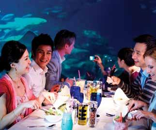 K. Chan Kwok-keung is planned to enrich its F&B mix with new dining experiences. www.oceanpark.com.