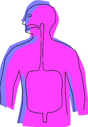 Symptoms one or more may occur shortly after eating Trouble swallowing Shortness of breath Repetitive coughing Voice change
