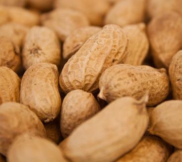 Specific allergy information Peanut allergies Tree nut allergies Fish allergies Shellfish allergies Peanut products, including peanut butter, are ingredients used in several of our recipes.