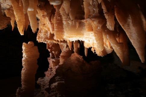 A lead excursion with expert speleological guides during which you will hear the sounds of the caves and observe the life that populates