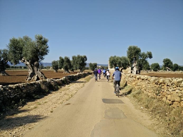 Departing from Borgo Egnazia with our bikes and guided by a two-wheels expert, the ride will proceed through the olive groves countryside, a bucolic setting