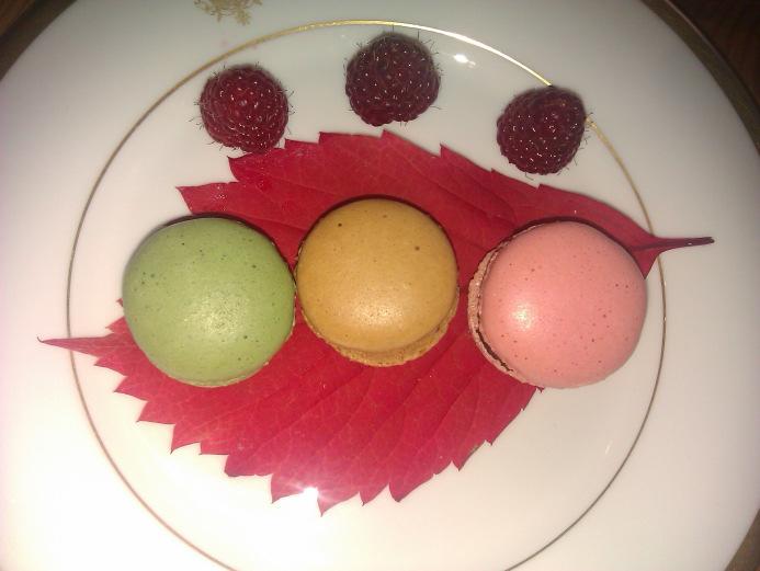 Yogurt with cherries o Assortment of desserts: Tiramisu with Riga balm, chocolate mousse with Krimulda