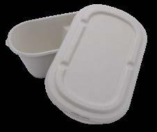 SUGAR CANE TAKEOUT Made from Bagasse Sugar