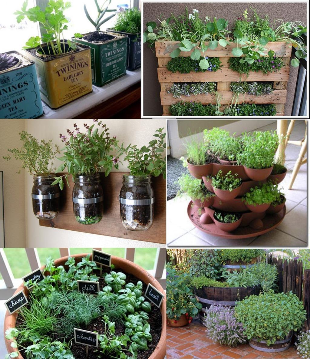 Herb Garden Ideas.