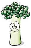 Date Name Broccoli Fact Sheet 1. What part of the plant is broccoli? 2.