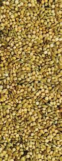 protein to assist during breeding and moult Composition: Yellow Millet, Black Millet, Canary Seed, Pellet, Naked Oats, Carrot Granules