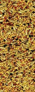 Nutritional Additives: Colourant Composition: Yellow Millet, Naked Oats, Red Millet, Panicum Millet, Black Rapeseed, Linseed, Nyjer Seed,