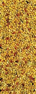Composition: Yellow Millet, Canary Seed, Black Millet, Panicum Millet, Pellet, Nyjer Seed, Carrot Granules and Oil.